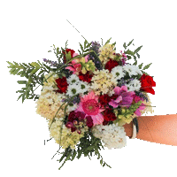Aditya Matrimony, Dombivili